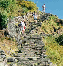 annapurna-trails-img